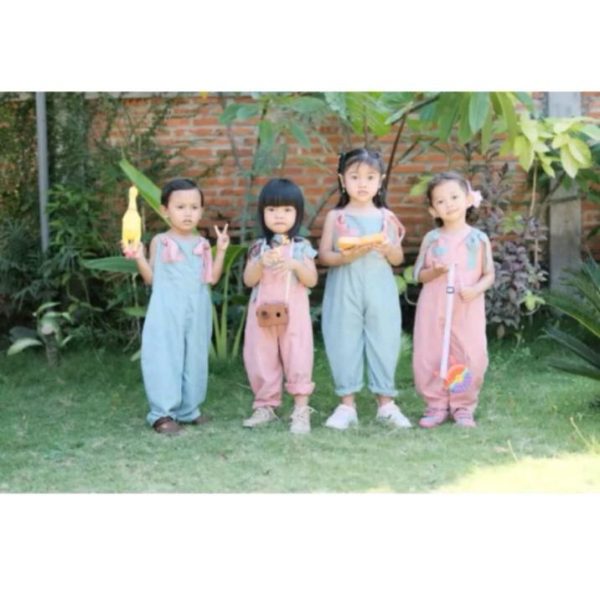Ara Overall