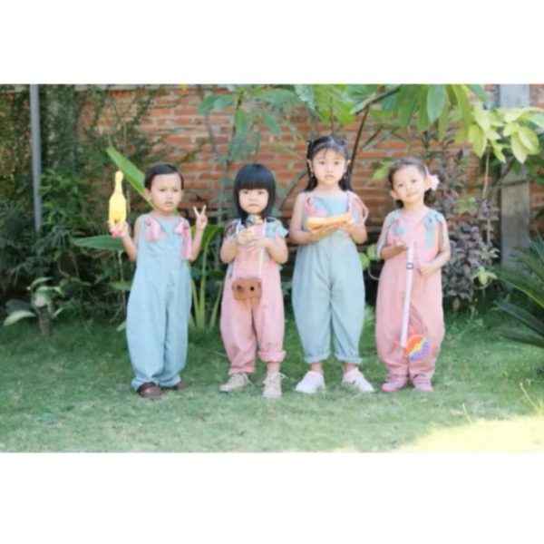 Ara Overall